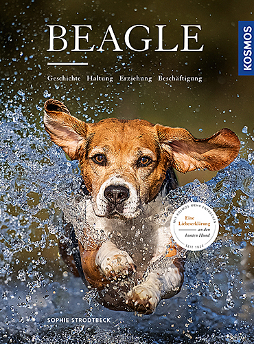 goodfellows-beagle-blog